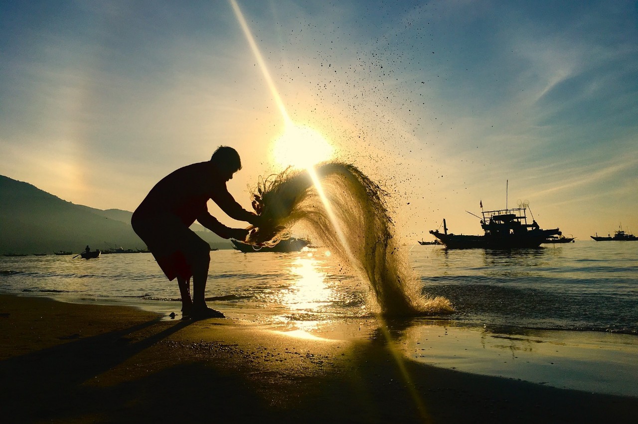 Summer Deal