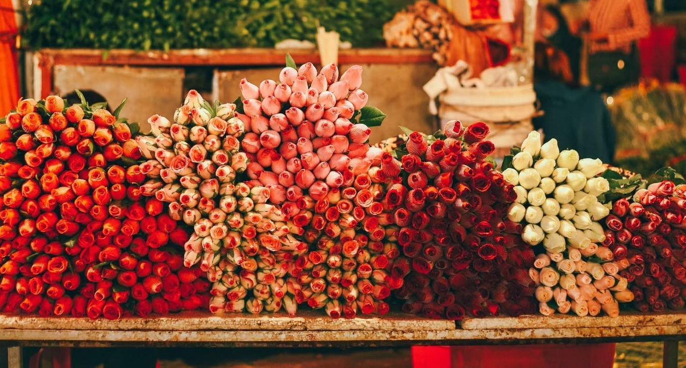 The floral paradise